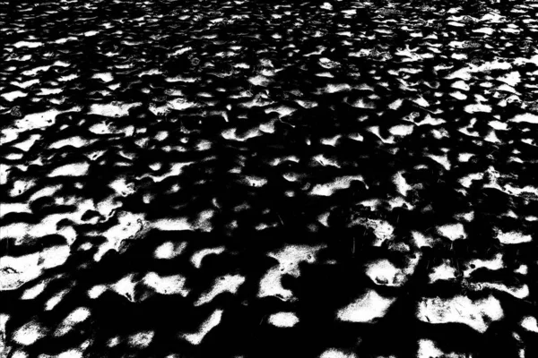 Fondo Texturizado Abstracto Blanco Negro —  Fotos de Stock