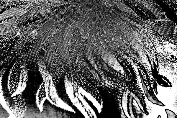 Fondo Abstracto Textura Monocromática Patrón Decorativo Blanco Negro —  Fotos de Stock