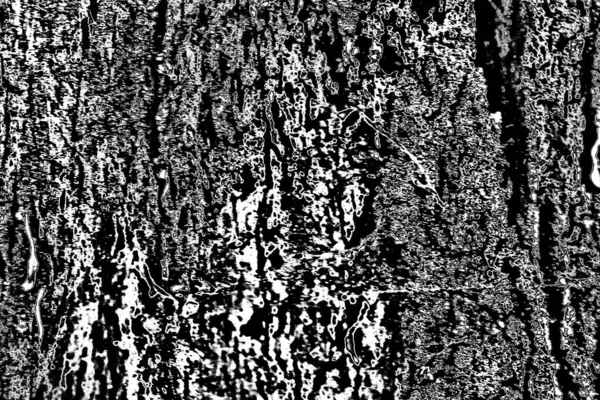 Contexte Abstrait Texture Monochrome Fond Texturé Noir Blanc — Photo