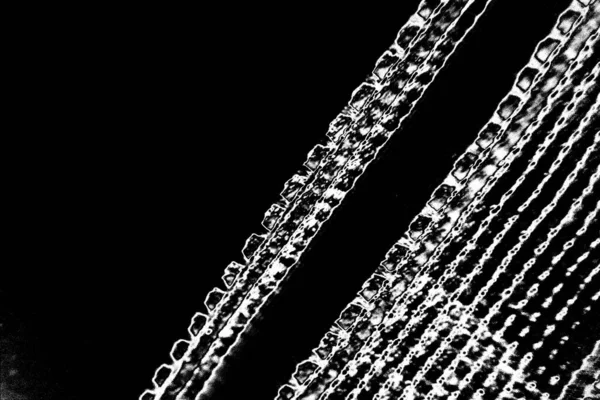 Abstract Black White Textured Background — Stock Photo, Image