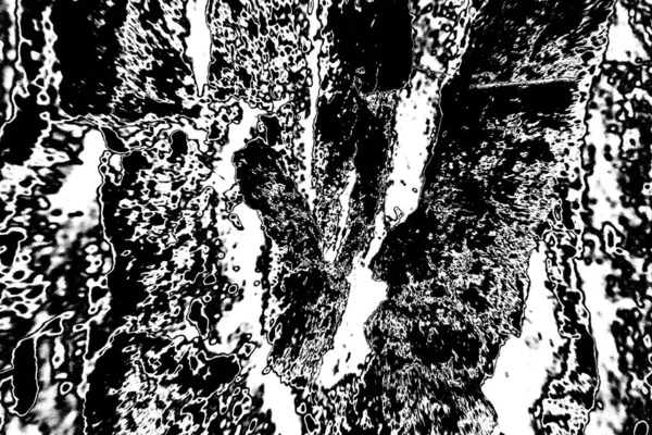 Fondo Abstracto Textura Monocromática Fondo Texturizado Blanco Negro —  Fotos de Stock