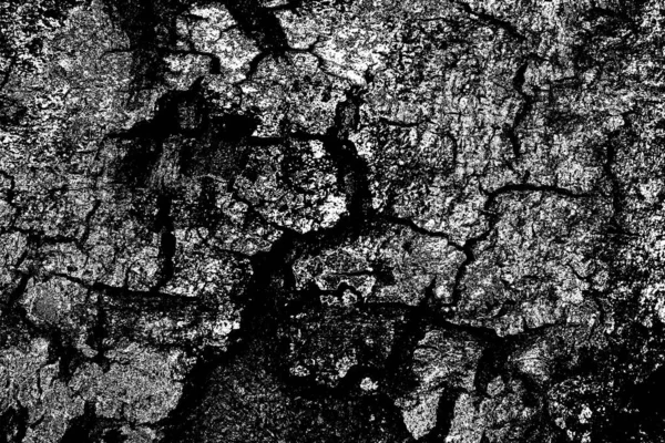 Abstract Background Monochrome Texture Black White Textured Background — Stock Photo, Image