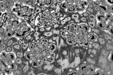 Soyut arkaplan. monokrom dokusu. resim siyah ve beyaz tonları içerir.