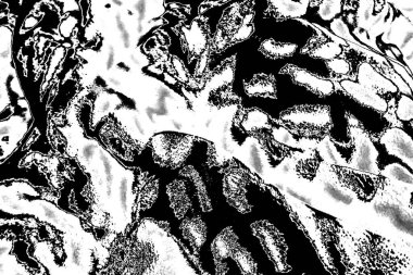 Soyut arkaplan. Monokrom dokusu. Resim siyah ve beyaz tonları içerir.