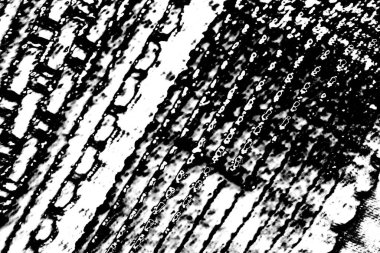 Soyut arkaplan. Monokrom dokusu. Siyah ve beyaz desenli arkaplan. 