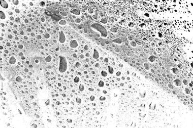 Soyut arkaplan. Monokrom dokusu. Siyah ve beyaz desenli arkaplan. 