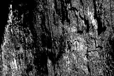 Soyut arkaplan. Monokrom dokusu. Siyah ve beyaz desenli arkaplan. 