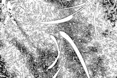 Soyut arkaplan. monokrom dokusu. resim siyah ve beyaz tonları içerir.