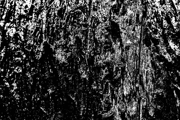 Abstract background. Monochrome texture. Black and white textured background.