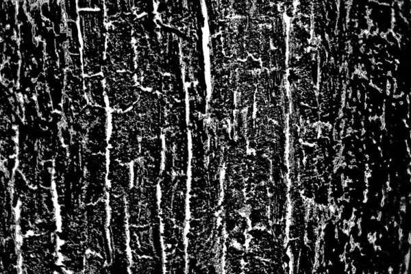 Sfondo Astratto Struttura Monocromatica Bianco Nero Sfondo Strutturato — Foto Stock