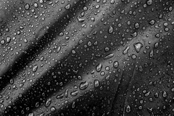 Wodoodporny Materiał Kroplami Wody Odzież Wodoodporna Tekstylia Woda — Zdjęcie stockowe