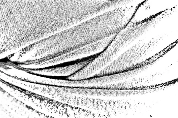 Soyut arkaplan. Monokrom dokusu. Siyah ve beyaz desenli arkaplan. 