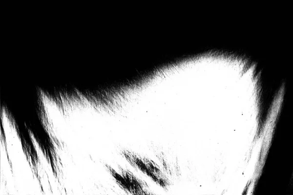 抽象的黑白纹理背景 — 图库照片