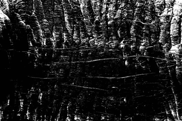 Fondo Abstracto Textura Monocromática Fondo Texturizado Blanco Negro — Foto de Stock