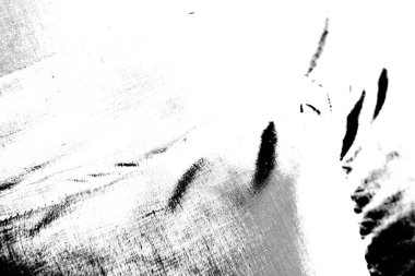 Soyut arkaplan. Monokrom dokusu. Dekoratif siyah beyaz desen. 