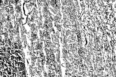Soyut arkaplan. Monokrom dokusu. Siyah ve beyaz desenli arkaplan. 