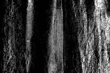 Soyut arkaplan. Monokrom dokusu. Siyah ve beyaz desenli arkaplan. 