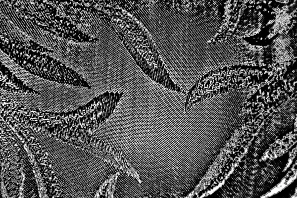 Fondo Abstracto Textura Monocromática Fondo Texturizado Blanco Negro —  Fotos de Stock