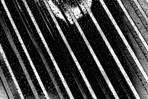 Contexte Abstrait Texture Monochrome Fond Texturé Noir Blanc — Photo