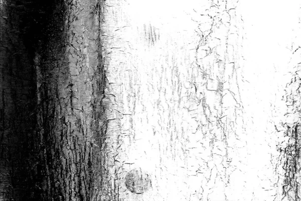 Contexte Abstrait Texture Monochrome Fond Texturé Noir Blanc — Photo