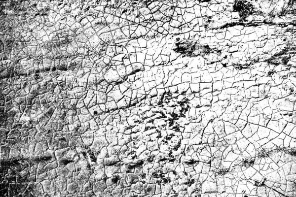 Fondo Abstracto Textura Monocromática Fondo Texturizado Blanco Negro — Foto de Stock