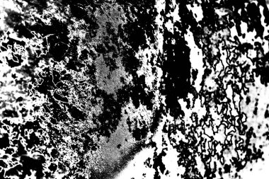 Soyut arkaplan. Monokrom dokusu. Siyah ve beyaz desenli arkaplan. 