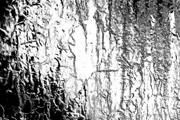 Fundal Abstract Textura Monocromă Fundal Alb Negru Texturat — Fotografie, imagine de stoc