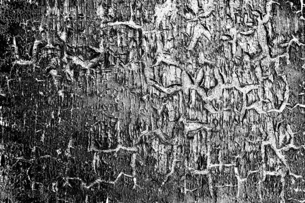 Contexte Abstrait Texture Monochrome Fond Texturé Noir Blanc — Photo