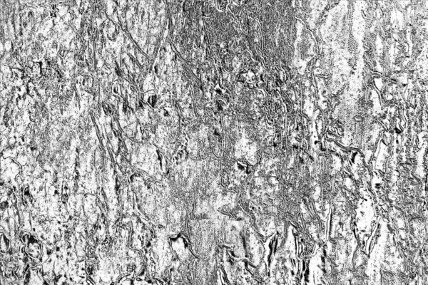 Fondo Abstracto Textura Monocromática Fondo Texturizado Blanco Negro —  Fotos de Stock