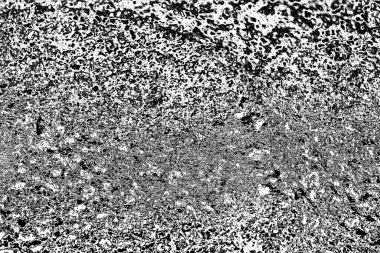 Soyut arkaplan. Monokrom dokusu. Siyah ve beyaz desenli arkaplan. 