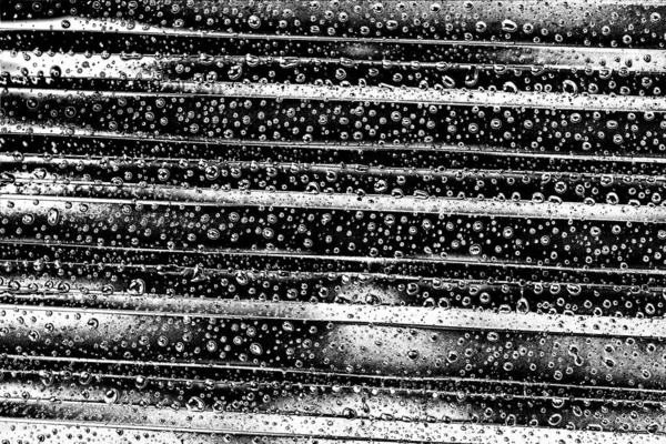 Soyut arkaplan. Monokrom dokusu. Siyah ve beyaz desenli arkaplan. 