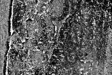 Soyut arkaplan. Monokrom dokusu. Siyah ve beyaz desenli arkaplan. 