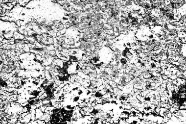 Soyut arkaplan. Monokrom dokusu. Siyah ve beyaz desenli arkaplan. 