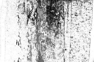 Soyut arkaplan. Monokrom dokusu. Siyah ve beyaz desenli arkaplan. 