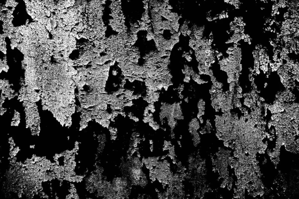 Fondo Abstracto Textura Monocromática Fondo Texturizado Blanco Negro — Foto de Stock