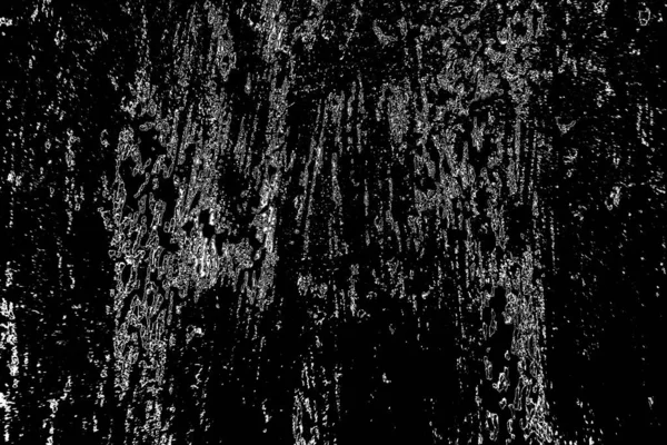 Sfondo Astratto Struttura Monocromatica Bianco Nero Sfondo Strutturato — Foto Stock