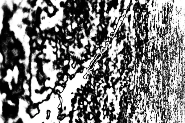 Fondo Texturizado Abstracto Blanco Negro —  Fotos de Stock