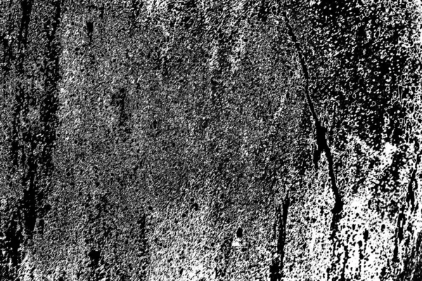 Abstrait Fond Texturé Noir Blanc — Photo