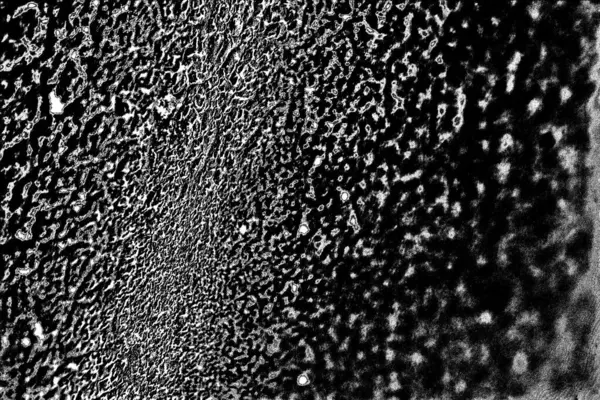 Fondo Texturizado Abstracto Blanco Negro —  Fotos de Stock