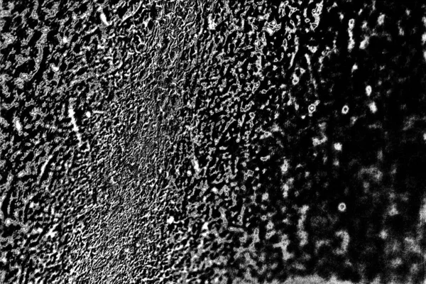 Fondo Texturizado Abstracto Blanco Negro —  Fotos de Stock