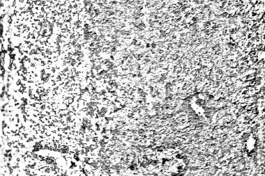 Soyut arkaplan. Monokrom dokusu. Siyah ve beyaz desenli arkaplan. 
