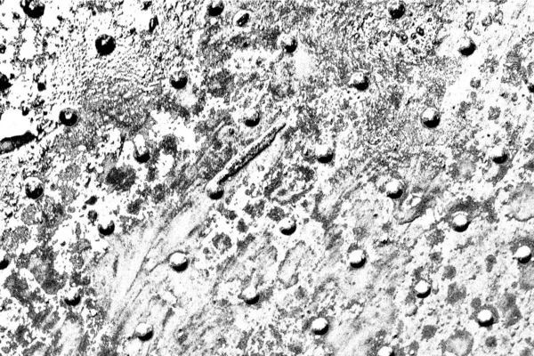 Абстрактный Фон Монохромная Текстура Черно Белый Текстурированный Фон — стоковое фото