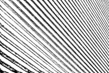 Soyut arkaplan. Monokrom dokusu. Siyah ve beyaz desenli arkaplan. 