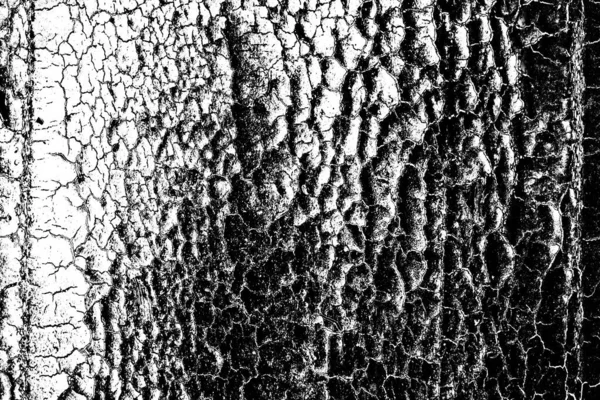 Fondo Abstracto Textura Monocromática Fondo Texturizado Blanco Negro —  Fotos de Stock