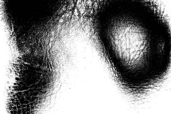 Fondo Abstracto Textura Monocromática Fondo Texturizado Blanco Negro — Foto de Stock