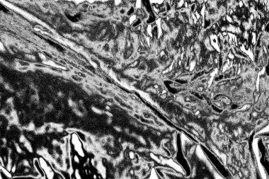 Soyut arkaplan. Monokrom dokusu. Siyah ve beyaz desenli arkaplan. 