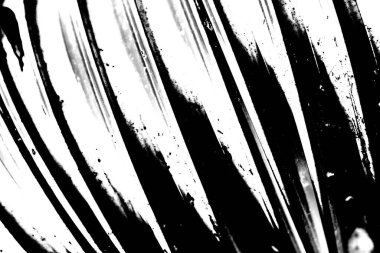 Soyut arkaplan. Monokrom dokusu. Siyah ve beyaz desenli arkaplan. 