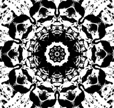 Soyut arkaplan. Monokrom dokusu. Siyah ve beyaz desenli arkaplan. 