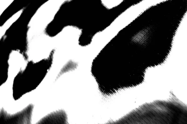 Fondo Abstracto Textura Monocromática Fondo Texturizado Blanco Negro —  Fotos de Stock