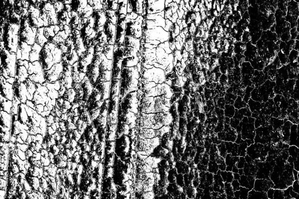 Abstracte Achtergrond Monochrome Textuur Zwart Wit Textuur Achtergrond — Stockfoto